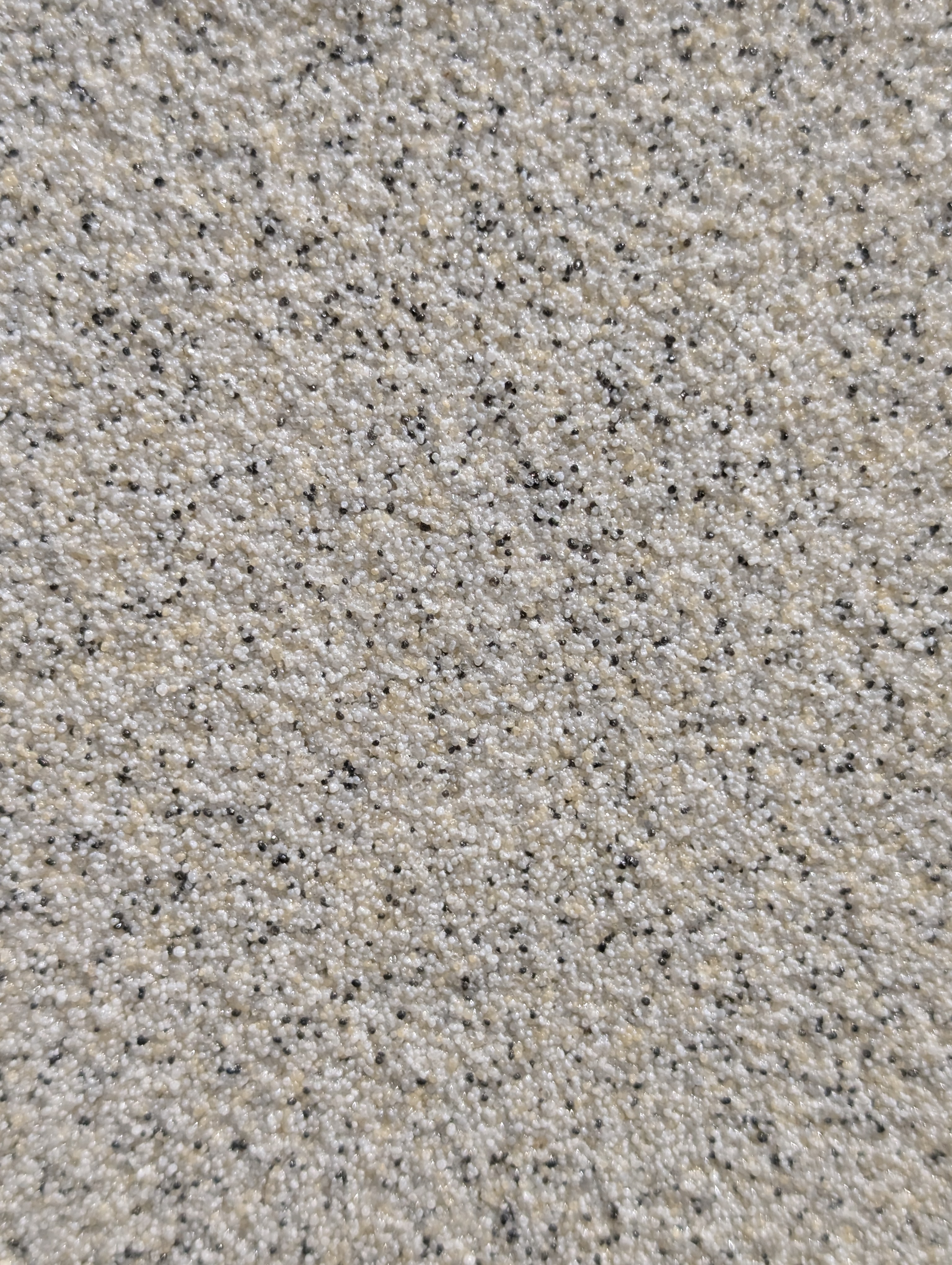 Quartz epoxy white cream black speckle