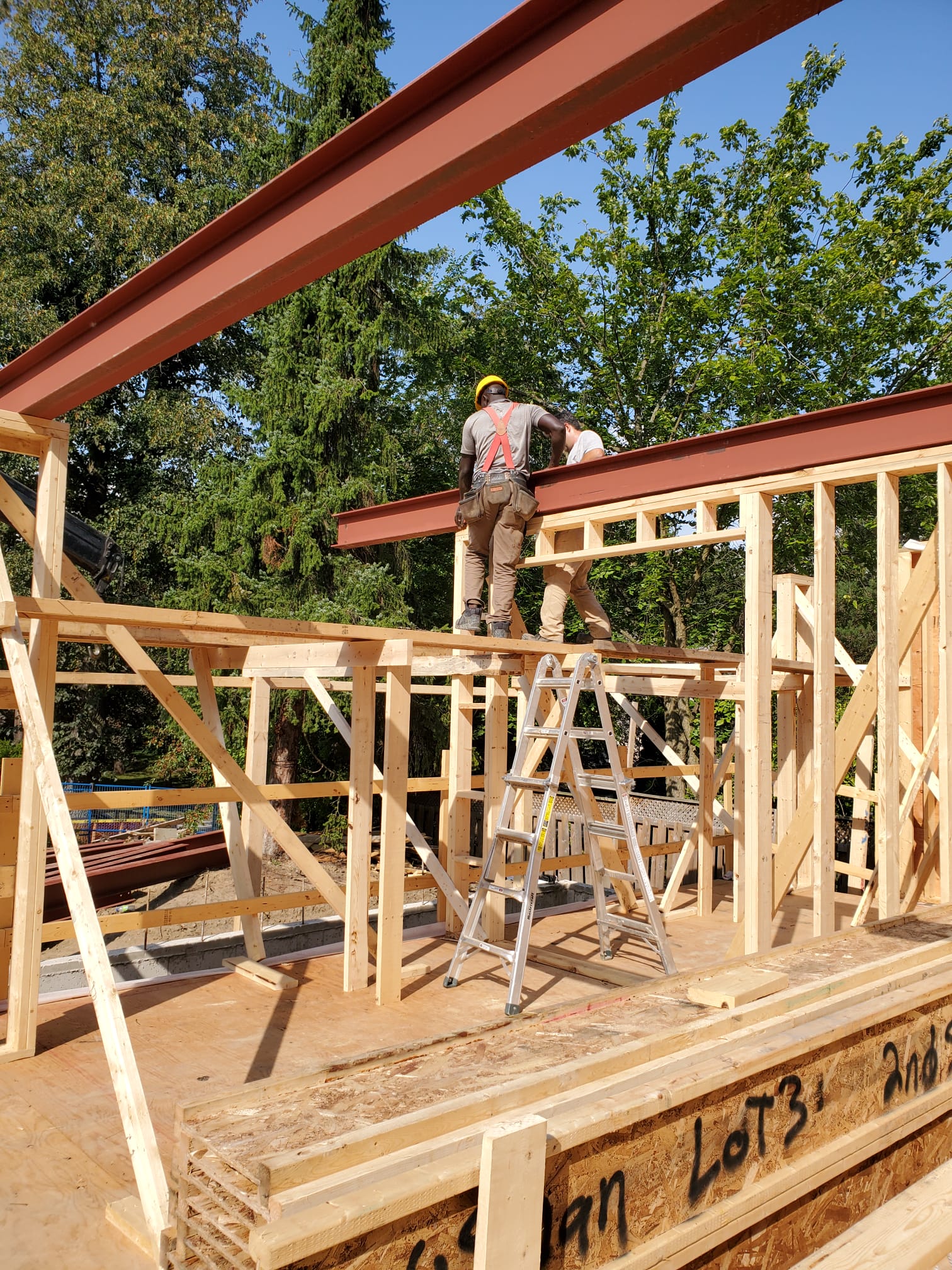 LVL beams vs traditional lumber GTA framing