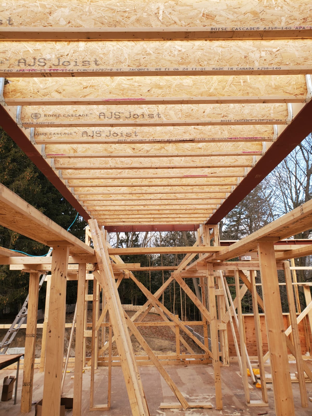 Framing after — joists installed