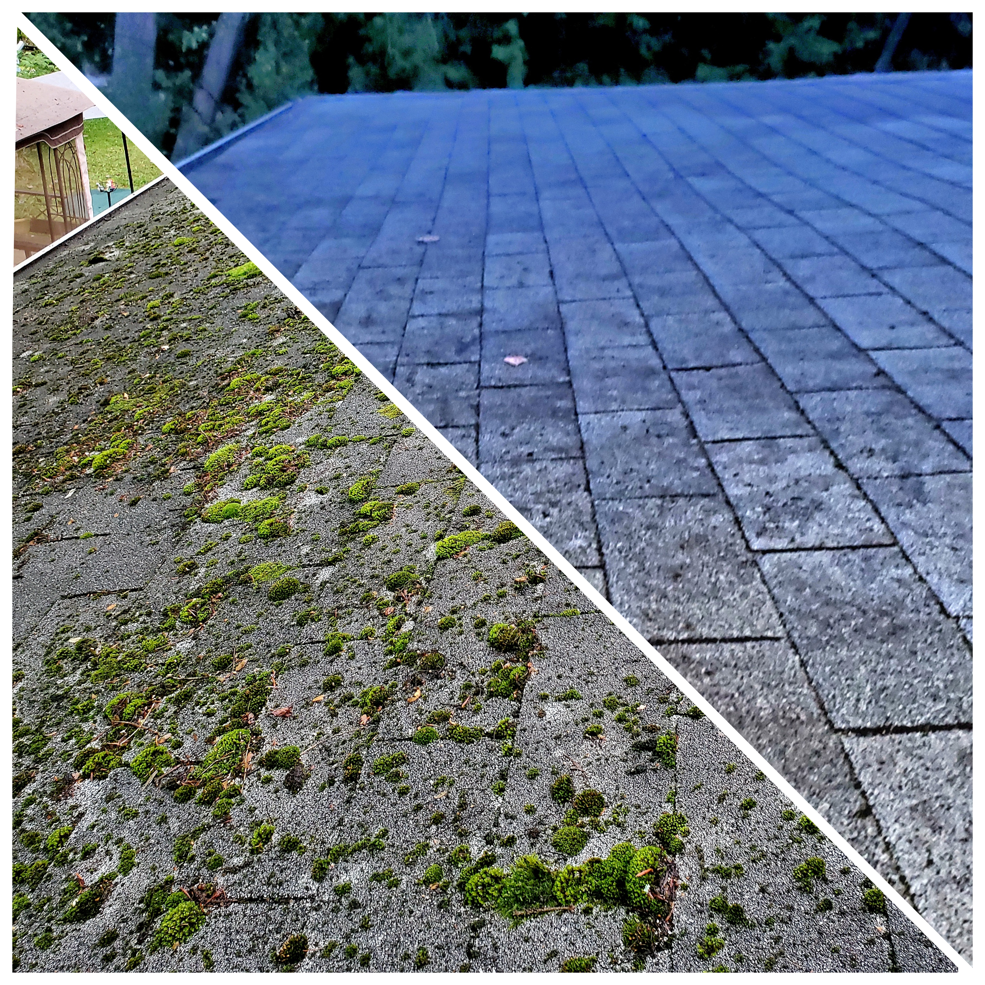 Roof cleaning GTA black streaks